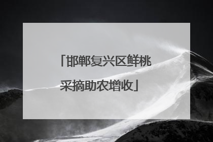 邯郸复兴区鲜桃采摘助农增收