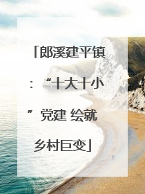郎溪建平镇：“十大十小”党建 绘就乡村巨变