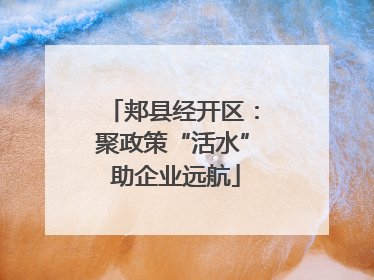 郏县经开区：聚政策“活水” 助企业远航