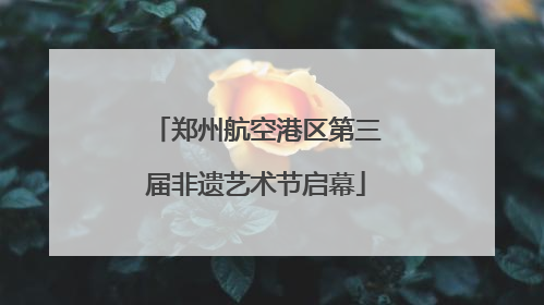郑州航空港区第三届非遗艺术节启幕