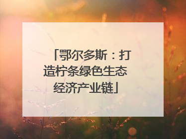 鄂尔多斯：打造柠条绿色生态经济产业链
