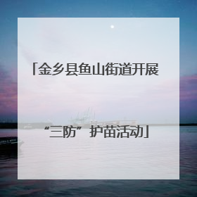 金乡县鱼山街道开展“三防”护苗活动