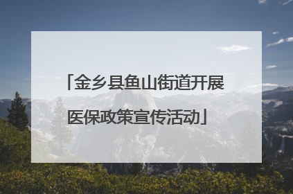 金乡县鱼山街道开展医保政策宣传活动