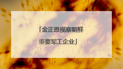 金正恩视察朝鲜重要军工企业
