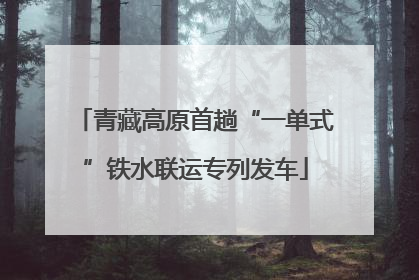 青藏高原首趟“一单式”铁水联运专列发车