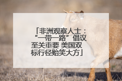 非洲观察人士：“一带一路”倡议至关重要 美国双标行径贻笑大方