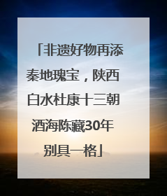 非遗好物再添秦地瑰宝，陕西白水杜康十三朝酒海陈藏30年别具一格