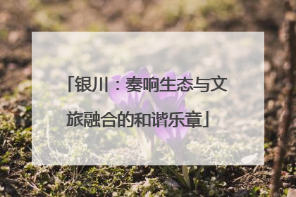 银川：奏响生态与文旅融合的和谐乐章