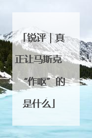 锐评｜真正让马斯克“作呕”的是什么