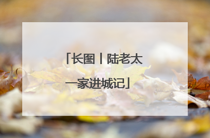 长图丨陆老太一家进城记