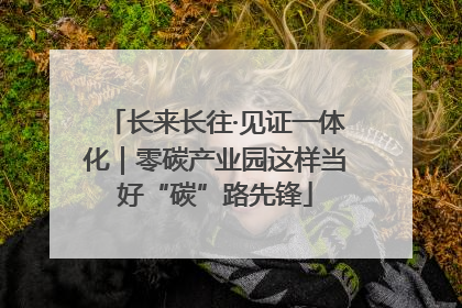 长来长往·见证一体化｜零碳产业园这样当好“碳”路先锋