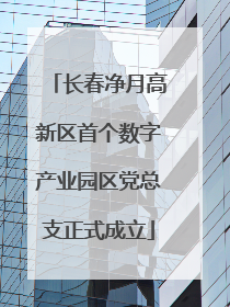 长春净月高新区首个数字产业园区党总支正式成立
