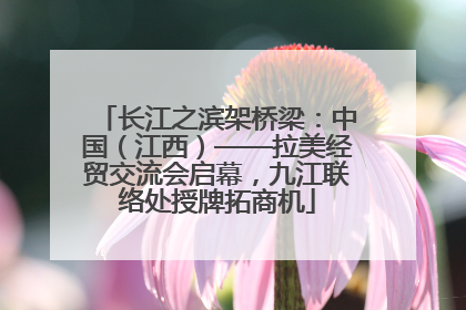 长江之滨架桥梁：中国（江西）——拉美经贸交流会启幕，九江联络处授牌拓商机