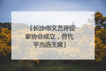 长沙市文艺评论家协会成立，曹隽平当选主席