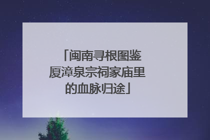 闽南寻根图鉴 厦漳泉宗祠家庙里的血脉归途