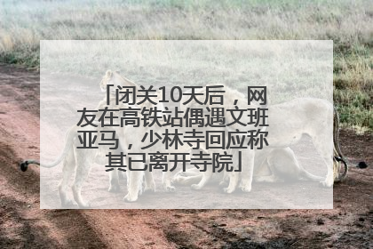 闭关10天后，网友在高铁站偶遇文班亚马，少林寺回应称其已离开寺院