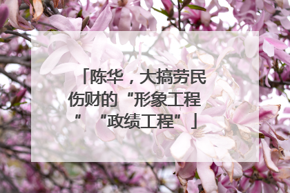 陈华，大搞劳民伤财的“形象工程”“政绩工程”