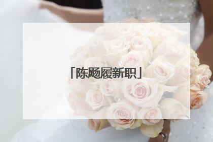 陈飏履新职