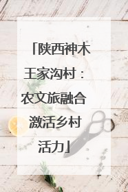 陕西神木王家沟村：农文旅融合 激活乡村活力