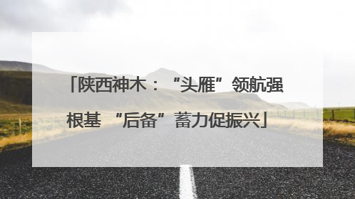 陕西神木：“头雁”领航强根基 “后备”蓄力促振兴