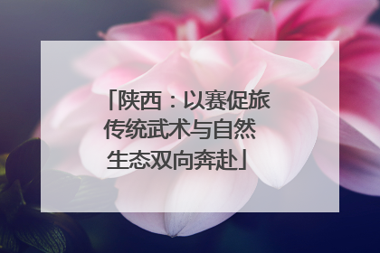 陕西：以赛促旅 传统武术与自然生态双向奔赴
