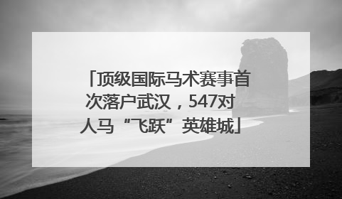 顶级国际马术赛事首次落户武汉，547对人马“飞跃”英雄城