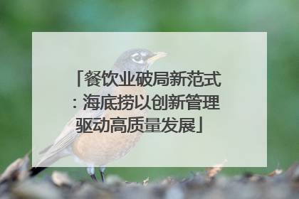 餐饮业破局新范式：海底捞以创新管理驱动高质量发展