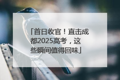 首日收官！直击成都2025高考，这些瞬间值得回味