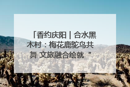 香约庆阳｜合水黑木村：梅花鹿鸵鸟共舞 文旅融合绘就“诗与远方”