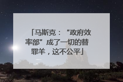马斯克：“政府效率部”成了一切的替罪羊，这不公平