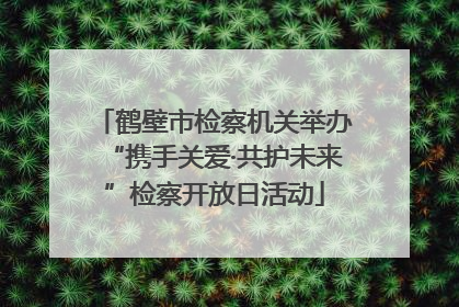 鹤壁市检察机关举办“携手关爱·共护未来”检察开放日活动