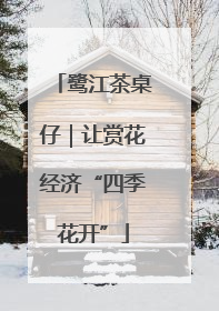 鹭江茶桌仔｜让赏花经济“四季花开”
