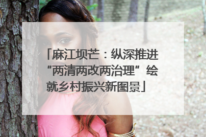 麻江坝芒：纵深推进“两清两改两治理”绘就乡村振兴新图景