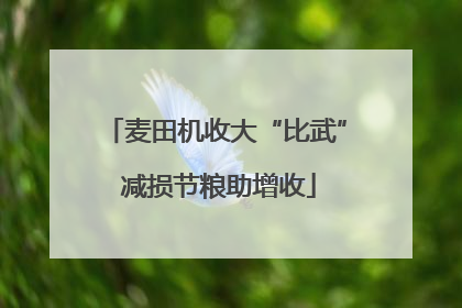 麦田机收大“比武” 减损节粮助增收