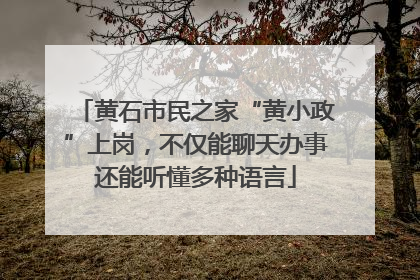 黄石市民之家“黄小政”上岗，不仅能聊天办事还能听懂多种语言