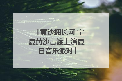 黄沙拥长河 宁夏黄沙古渡上演夏日音乐派对