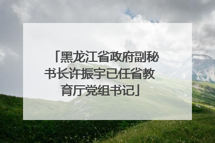 黑龙江省政府副秘书长许振宇已任省教育厅党组书记