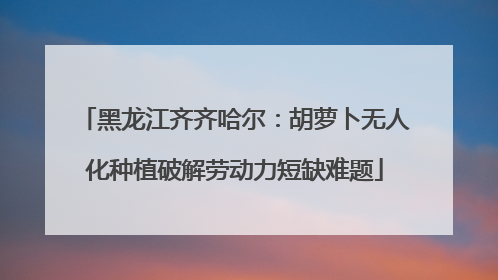 黑龙江齐齐哈尔：胡萝卜无人化种植破解劳动力短缺难题