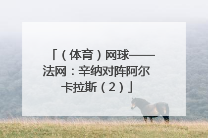 （体育）网球——法网：辛纳对阵阿尔卡拉斯（2）