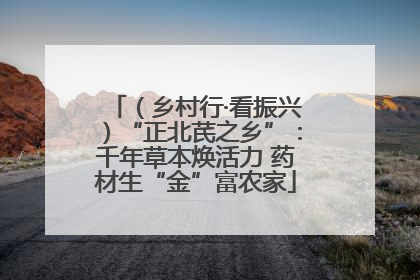 （乡村行·看振兴）“正北芪之乡”：千年草本焕活力 药材生“金”富农家