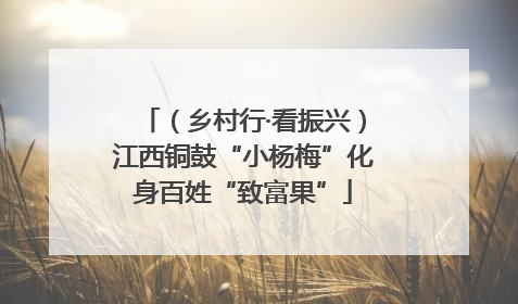 （乡村行·看振兴）江西铜鼓“小杨梅”化身百姓“致富果”