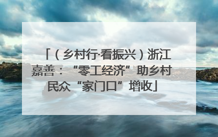 （乡村行·看振兴）浙江嘉善：“零工经济”助乡村民众“家门口”增收