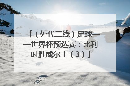 （外代二线）足球——世界杯预选赛：比利时胜威尔士（3）