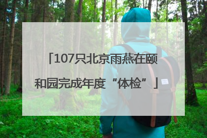 107只北京雨燕在颐和园完成年度“体检”