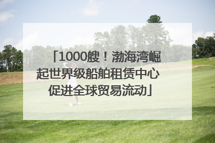 1000艘！渤海湾崛起世界级船舶租赁中心 促进全球贸易流动