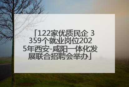 122家优质民企 3359个就业岗位2025年西安-咸阳一体化发展联合招聘会举办
