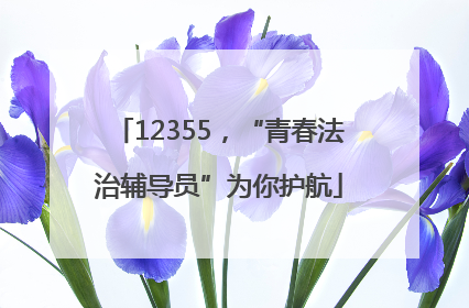 12355，“青春法治辅导员”为你护航