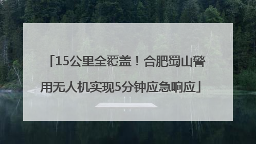 15公里全覆盖！合肥蜀山警用无人机实现5分钟应急响应