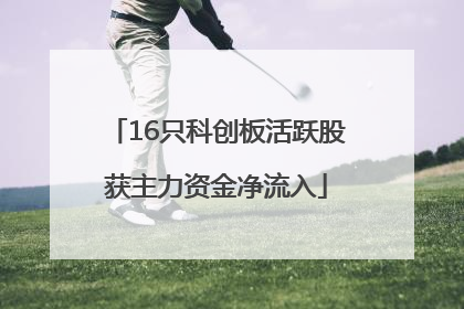 16只科创板活跃股获主力资金净流入