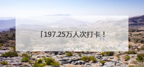 197.25万人次打卡！焦作端午文旅市场强势吸粉